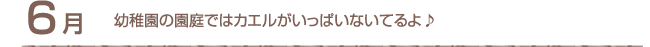 6月