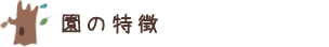 認定こども園ひかりとは？